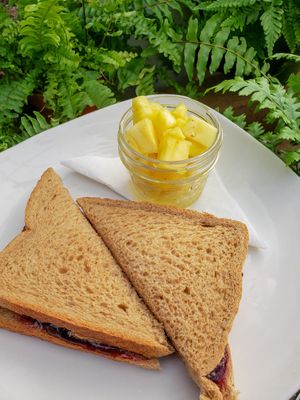 PB&J for the Kiddos at Woodstock Garden Cafe in Woodstock