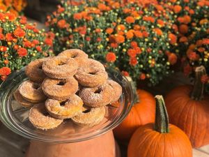 Pumpkin Donuts (Seasonal) at Woodstock Garden Cafe in Woodstock