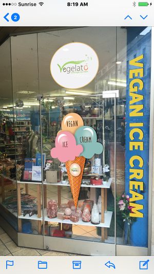 The Vegan ice cream are inside a gift shop on the rue de Carouge in Geneva you must try they are sooo delicious  at Joy Madal in Geneva