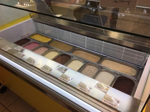 13 awesome flavours of Vegan & raw ice cream made from organic product  at Joy Madal in Geneva