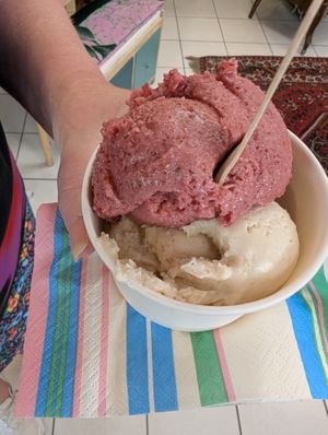 Cranberry and vanilla at Joy Madal in Geneva