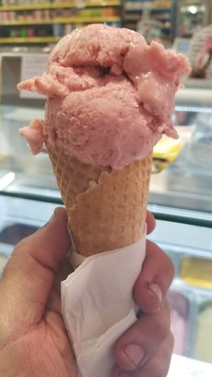 Vegan Ice Cream at Joy Madal in Geneva
