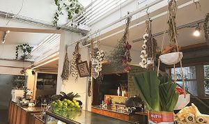 park ranger  at Park Ranger in Christchurch