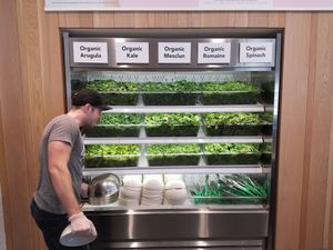 sal at Upbeet in Atlanta