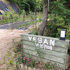 This restaurant has its own garden to grow the fresh vegetables.  at Loving Hut - Yangjae Juam in Gyeonggi-do