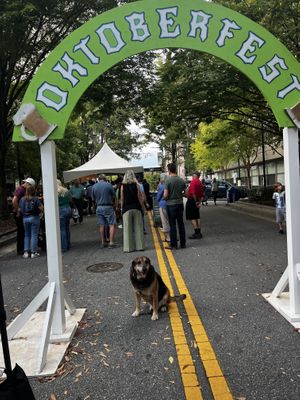Oktoberfest @ restaurant-good dog friendly  at Cantinflas Mexican and Vegetarian Cuisine in Greenville