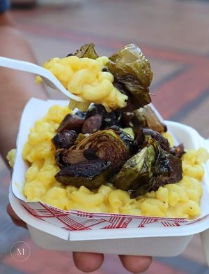  at Sprouting Dreams in Dayton