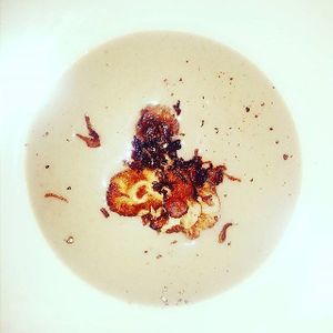 Catered Item: Fall and Winter at Sprouting Dreams in Dayton