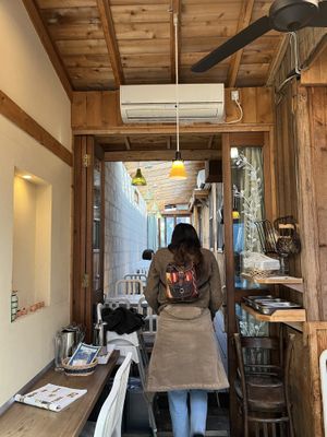   at Natudeco in Kamakura