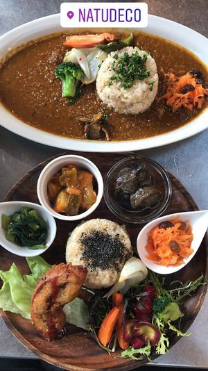 The curry and macrobiotic plate. Both were insanely delicious! at Natudeco in Kamakura
