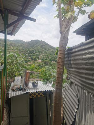  at Dr Spice Vegetarian  in Kingston