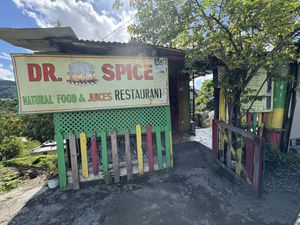   at Dr Spice Vegetarian  in Kingston