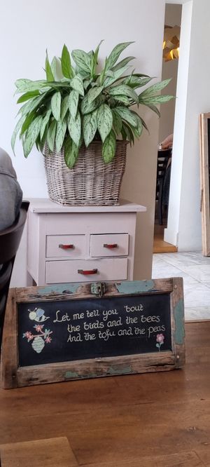 Birds, bees, tofu and peas! at Logica Cafe Restaurant in Leiden