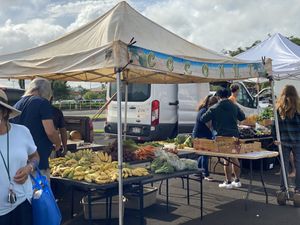 Bananas at Farmer's Market in Lihue