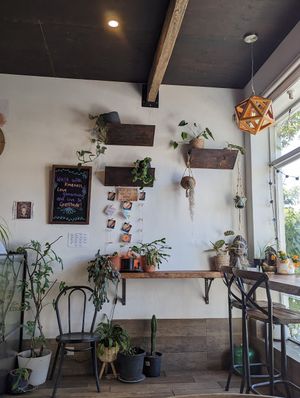  at Rawsome Earth Cafe in Cooma