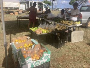   at Farmer's Market in Kapaa