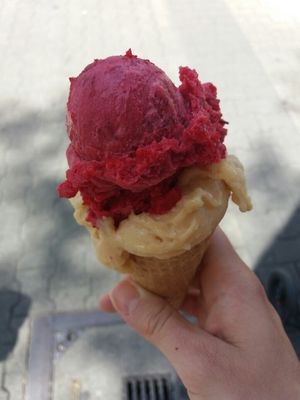 vegan ice cream  at Eismanufaktur zeitgEISt in Mannheim