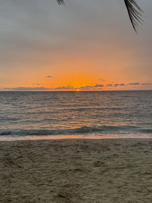   at In Touch in Koh Tao