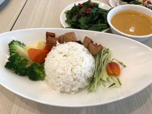 Curry Fish Rice (Vegan) at Truly Vegetarian in Central Singapore