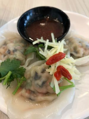 Dumpling  at Truly Vegetarian in Central Singapore