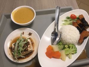 Fish less curry rice  at Truly Vegetarian in Central Singapore