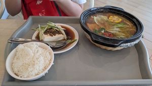 Bak Kit Teh rice at Truly Vegetarian in Central Singapore