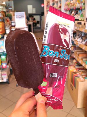 Vegan and gluten free ice cream at Bio Prodajalna Norma in Celje