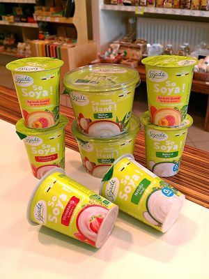 Vegan yoghurts at Bio Prodajalna Norma in Celje