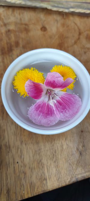  at Sacred Sushi and Curry Sunday in Pisac