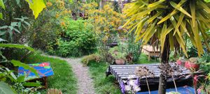  at Sacred Sushi and Curry Sunday in Pisac