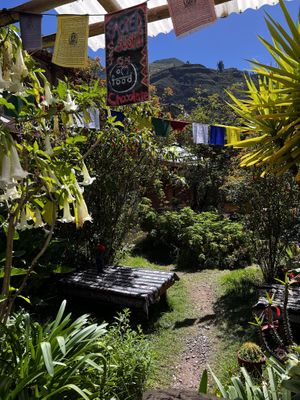   at Sacred Sushi and Curry Sunday in Pisac