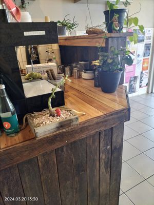  at The Garden Plate in Lismore