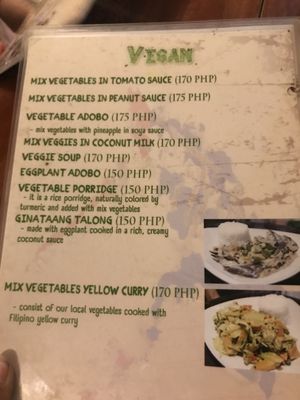A whole vegan page on the menu! Yellow curry was amazing at Ven'z Kitchen in Moalboal