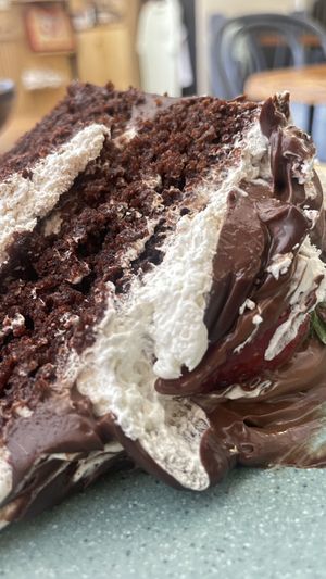   at Govinda's - North City in Dublin