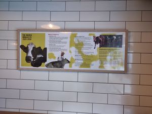 Ahimsa manifesto: worth a read at Govinda's - North City in Dublin