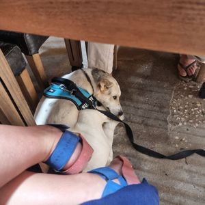 A Sundy foi bem-vinda at Moagem in Aljezur