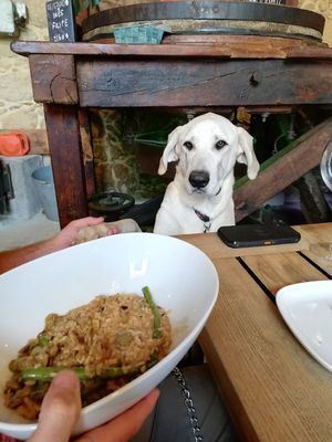 Nom nom at Moagem in Aljezur