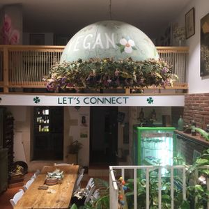 Cute interior at All Vegan in Barcelona