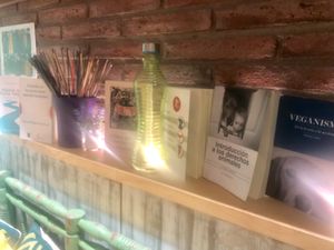 They have a little free library about veganism and very nice place to read, confortable, quiet and lovely. They changed partners and the concept of the store in August at All Vegan in Barcelona