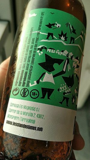 Cerveza artesana at All Vegan in Barcelona