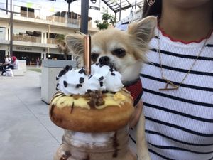 Snickers freakshake at V-Box in Ghent