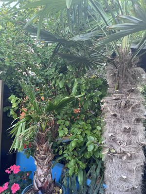   at Cafe Nucleus in Chatham