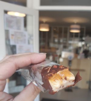 Vegan icecreams at La Fourchette Bio in Arcachon