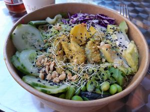 Bowl with tons of tasty vegan food at La Fourchette Bio in Arcachon