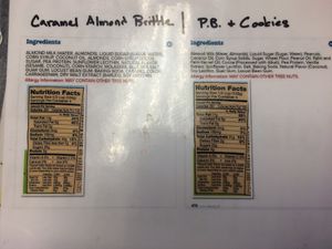 vegan flavors  at Netsins Ice Cream in Irondequoit