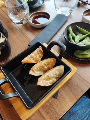 Gyozas at Umi Japanese Bar and Restaurant in Middlesbrough