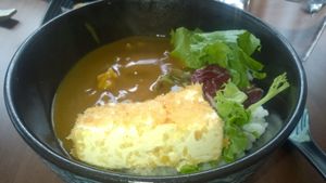 Tofu katsu curry at Umi Japanese Bar and Restaurant in Middlesbrough