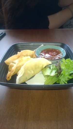 Veggie gyozas at Umi Japanese Bar and Restaurant in Middlesbrough