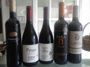 Organic and local reds at Hortela in Portimao