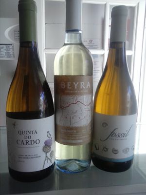 Organic whites at Hortela in Portimao